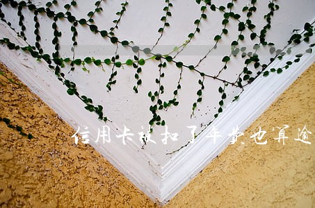 信用卡被扣了年费也算逾期 信用卡被扣了年费也算逾期