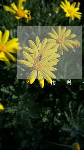 信用卡被扣违约金是逾期吗 信用卡被扣违约金是逾期吗
