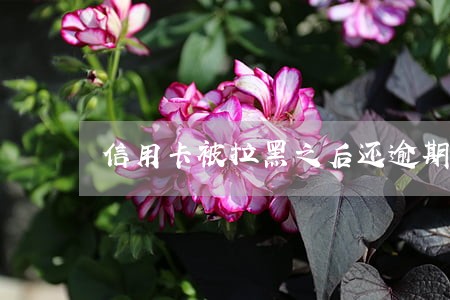 信用卡被拉黑之后还逾期 信用卡被拉黑之后还逾期