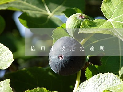 信用卡被拒绝逾期 信用卡被拒绝逾期