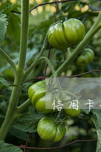 信用卡被盗刷已报警现逾期了 信用卡被盗刷已报警现逾期了