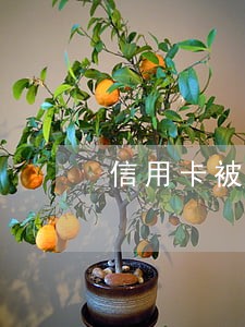 信用卡被盗刷还逾期 信用卡被盗刷还逾期