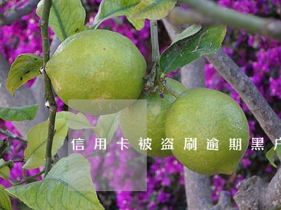 信用卡被盗刷逾期黑户