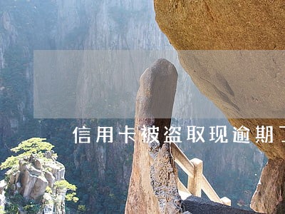 信用卡被盗取现逾期了谁来还 信用卡被盗取现逾期了谁来还