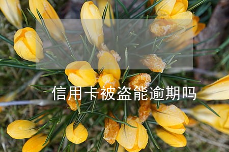 信用卡被盗能逾期吗 信用卡被盗能逾期吗
