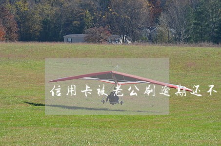 信用卡被老公刷逾期还不上 信用卡被老公刷逾期还不上