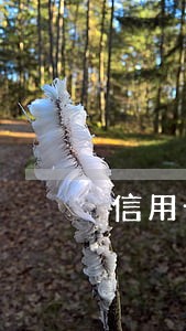 信用卡被记逾期 信用卡被记逾期