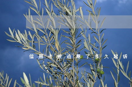 信用卡被逾期了多久起诉 信用卡被逾期了多久起诉