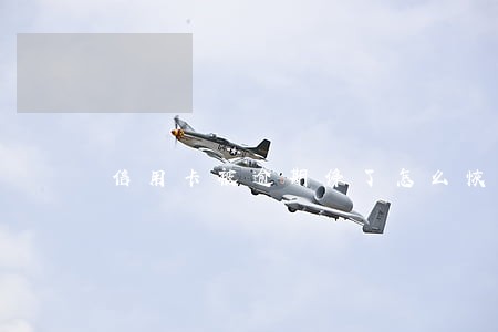 信用卡被逾期停了怎么恢复正常 信用卡被逾期停了怎么恢复正常