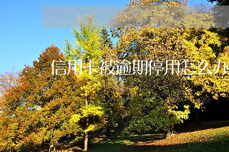 信用卡被逾期停用怎么办 信用卡被逾期停用怎么办