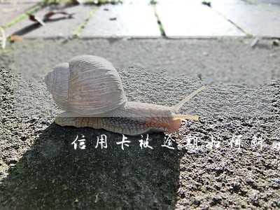 信用卡被逾期如何解决 信用卡被逾期如何解决