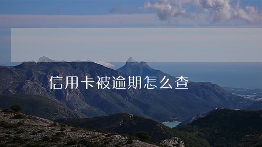 信用卡被逾期怎么查