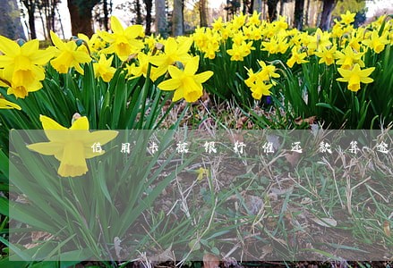 信用卡被银行催还款算逾期吗 信用卡被银行催还款算逾期吗