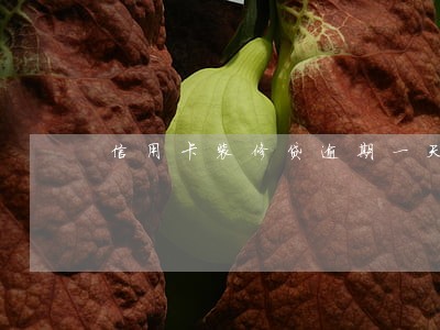 信用卡装修贷逾期一天