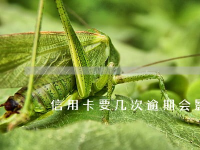 信用卡要几次逾期会影响征信 信用卡要几次逾期会影响征信