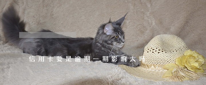 信用卡要是逾期一期影响大吗