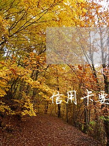 信用卡要是逾期了会通知吗 信用卡要是逾期了会通知吗
