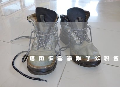 信用卡要逾期了公积金怎么办 信用卡要逾期了公积金怎么办