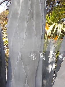 信用卡要逾期了无力偿还怎么办