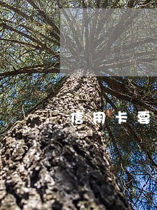 信用卡要逾期了能不能撸一把 信用卡要逾期了能不能撸一把