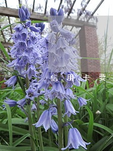 信用卡要逾期几次打入黑名单 信用卡要逾期几次打入黑名单