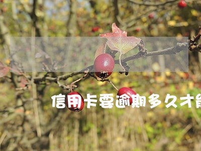 信用卡要逾期多久才能立案