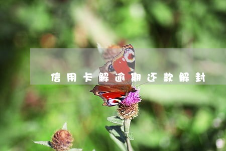 信用卡解逾期还款解封
