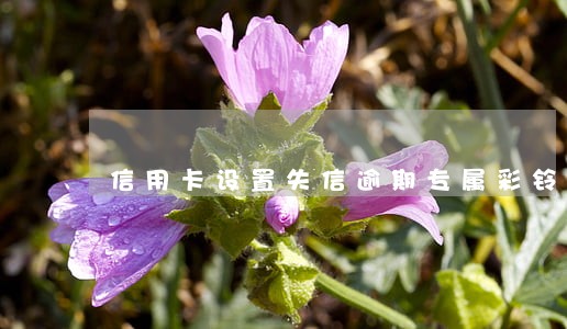 信用卡设置失信逾期专属彩铃 信用卡设置失信逾期专属彩铃