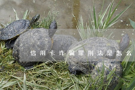 信用卡诈骗罪刑法是怎么规定的 信用卡诈骗罪刑法是怎么规定的