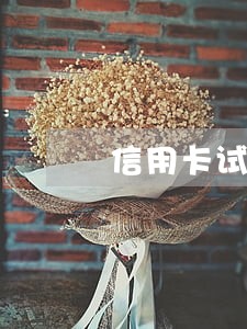信用卡试过逾期能贷款买车吗 信用卡试过逾期能贷款买车吗