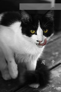 信用卡该如何恢复逾期 信用卡该如何恢复逾期