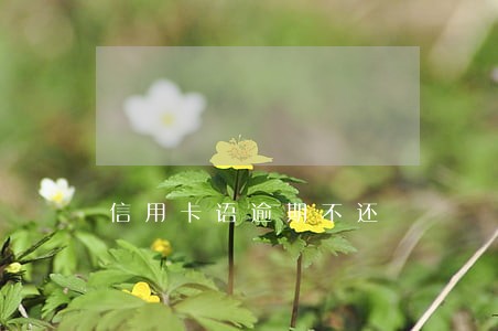 信用卡语逾期不还 信用卡语逾期不还