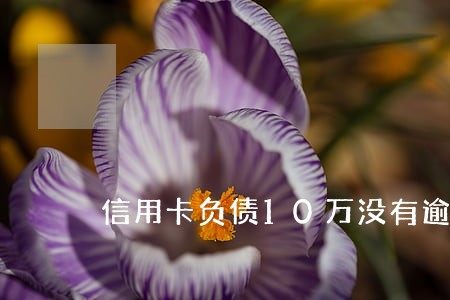信用卡负债10万没有逾期
