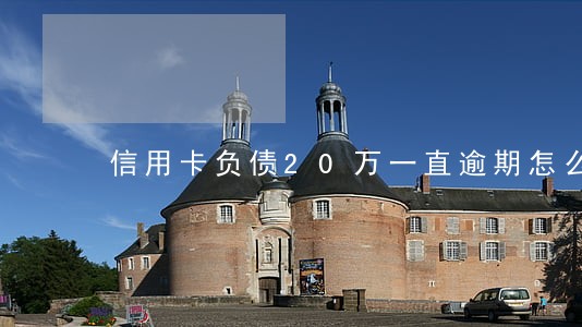 信用卡负债20万一直逾期怎么办 信用卡负债20万一直逾期怎么办