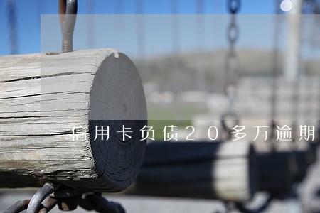 信用卡负债20多万逾期 信用卡负债20多万逾期