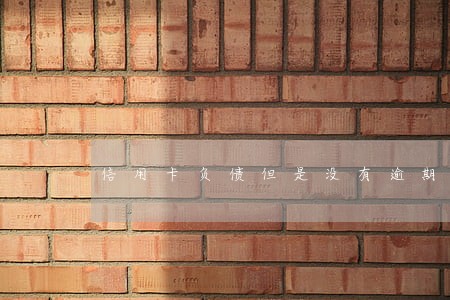 信用卡负债但是没有逾期 信用卡负债但是没有逾期