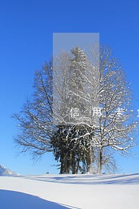 信用卡负债太高但没有逾期 信用卡负债太高但没有逾期