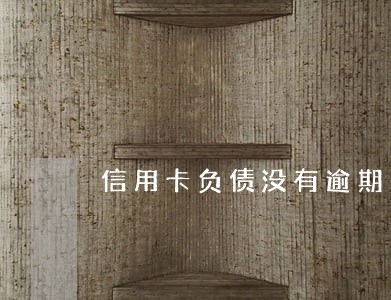 信用卡负债没有逾期 信用卡负债没有逾期