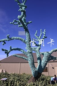 信用卡负债高但从未逾期