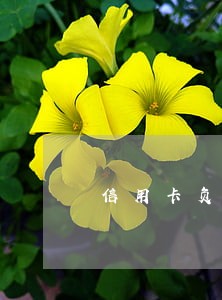 信用卡负数没逾期能办房贷 信用卡负数没逾期能办房贷