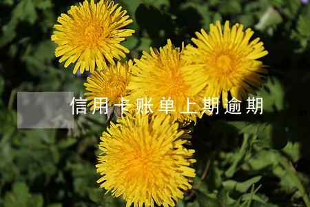 信用卡账单上期逾期 信用卡账单上期逾期