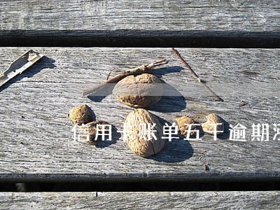 信用卡账单五千逾期涨到一万