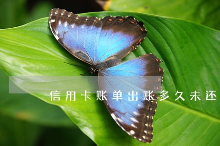 信用卡账单出账多久未还算逾期