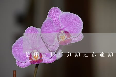 信用卡账单分期过多逾期无力偿还 信用卡账单分期过多逾期无力偿还