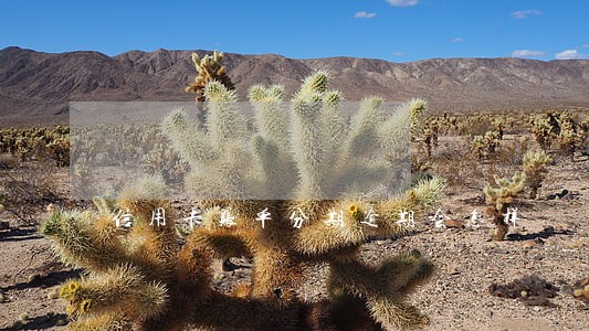 信用卡账单分期逾期会怎样