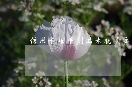 信用卡账单刚出来就显示逾期 信用卡账单刚出来就显示逾期