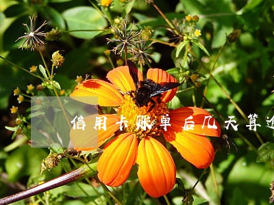 信用卡账单后几天算逾期 信用卡账单后几天算逾期