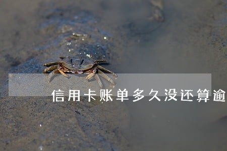 信用卡账单多久没还算逾期