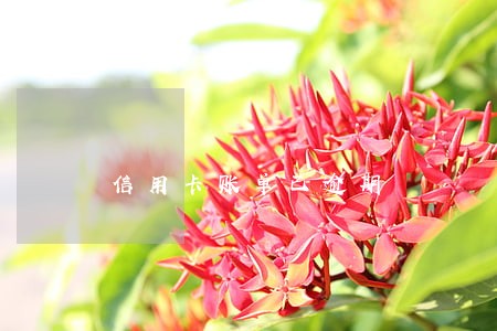 信用卡账单已逾期 信用卡账单已逾期