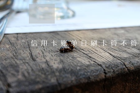 信用卡账单日刷卡算不算逾期 信用卡账单日刷卡算不算逾期